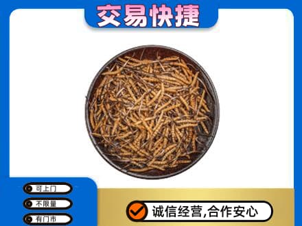 定西市陇西高价回收散虫草