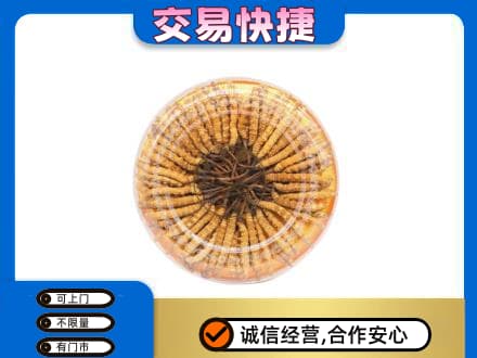 定西市陇西礼品回收虫草礼盒.jpg